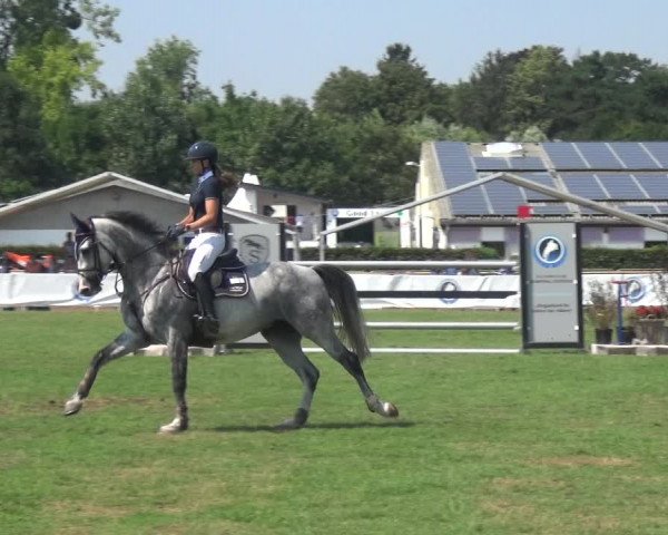 FEI Reitturnier Eschweiler (GER) 2020