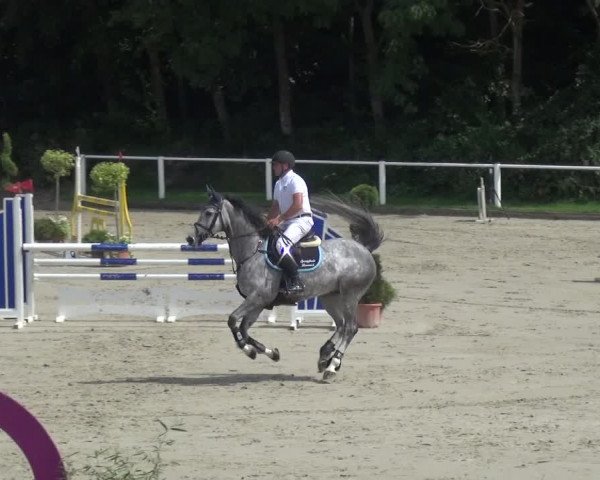 Reitturnier Bergisch Gladbach - Hebborner Hof 2020