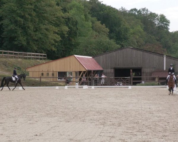 Reitturnier Bübinger Hof 2020