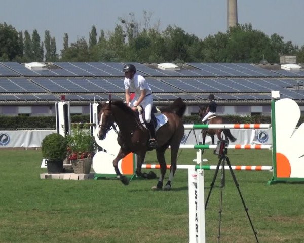 FEI Reitturnier Eschweiler (GER) 2020
