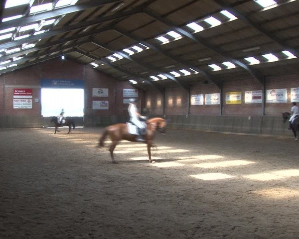 Reitturnier Kirchhoven-Vinn 2020