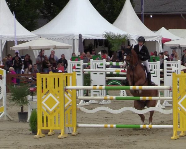 Equus Colonius - Reitanlage Brüse Köln 2021