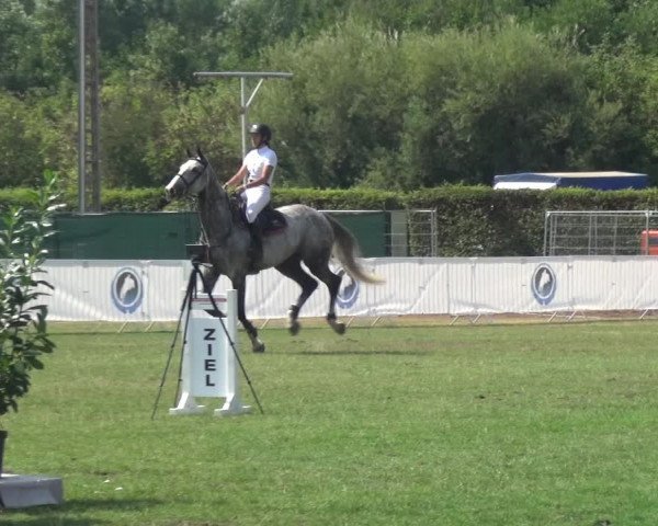 FEI Reitturnier Eschweiler (GER) 2020