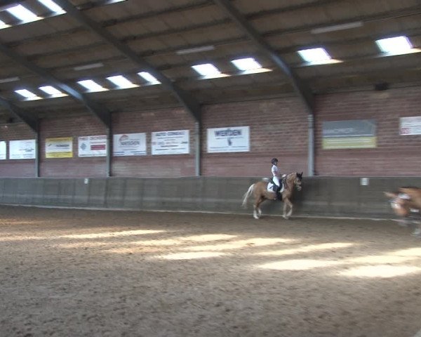 Reitturnier Kirchhoven-Vinn 2020