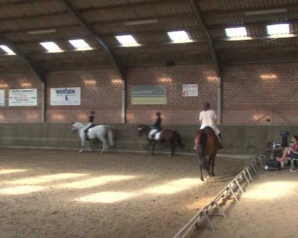 Reitturnier Kirchhoven-Vinn 2020