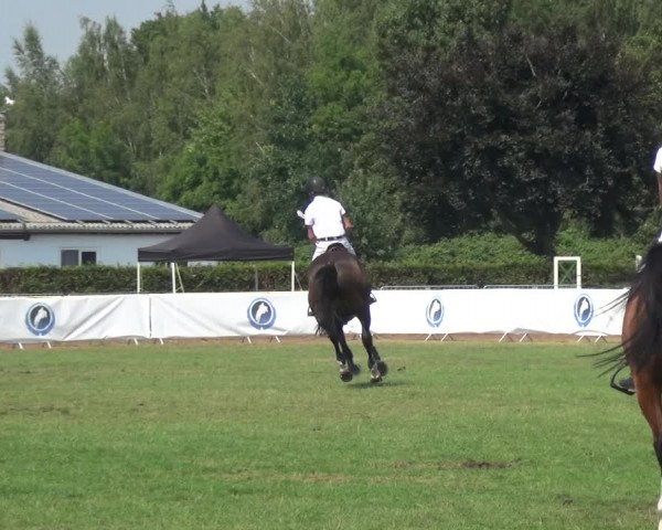 FEI Reitturnier Eschweiler (GER) 2020