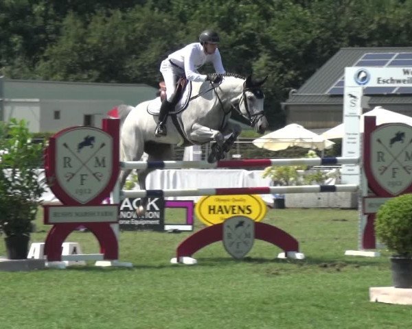 FEI Reitturnier Eschweiler (GER) 2020