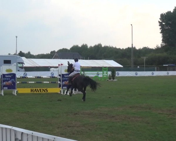 FEI Reitturnier Eschweiler (GER) 2020
