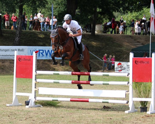 jumper Valdez 13 (Westphalian, 2005, from Vulkano FRH)