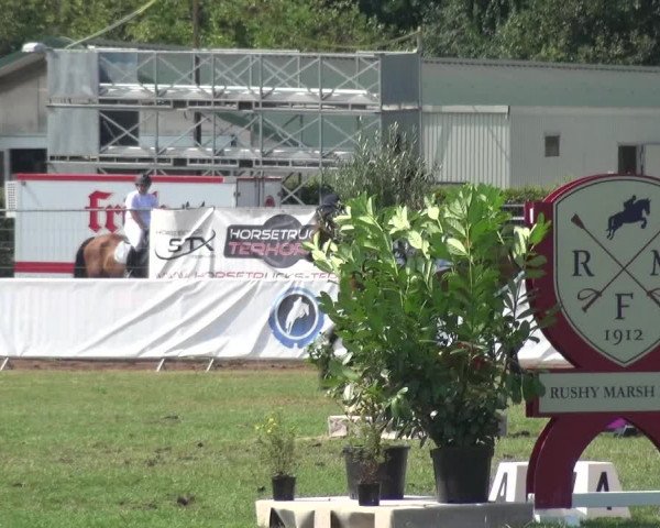 FEI Reitturnier Eschweiler (GER) 2020
