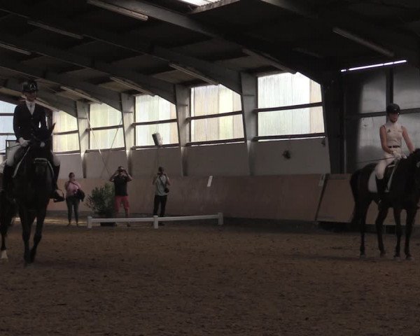 Reitturnier Datteln 2020