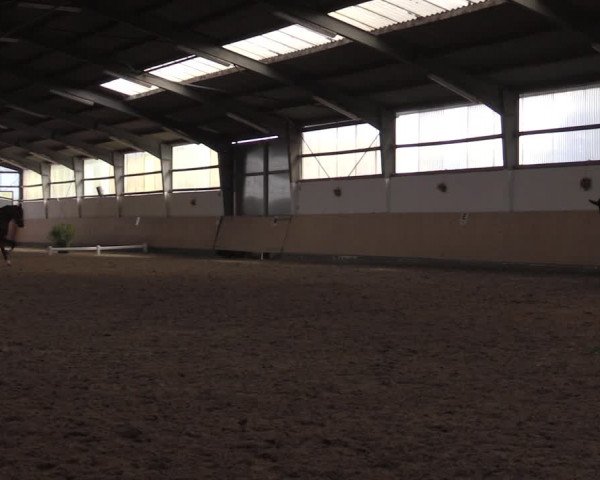 Reitturnier Datteln 2020