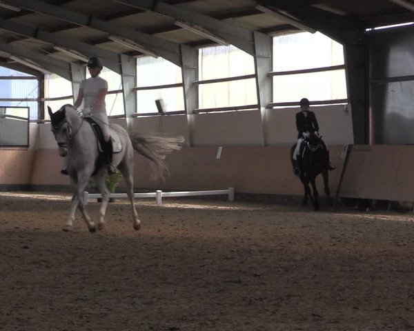 Reitturnier Datteln 2020