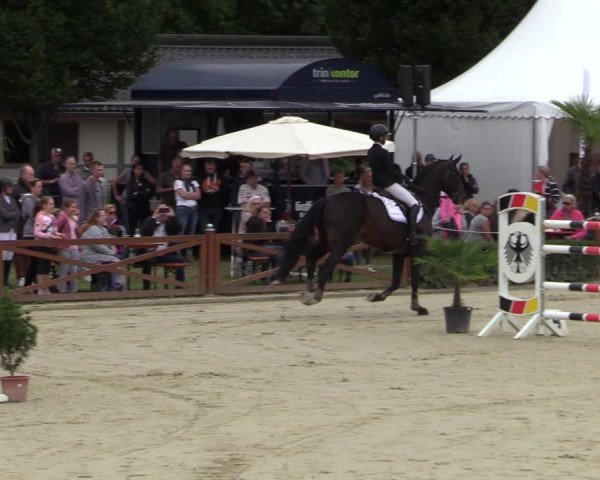 Equus Colonius - Reitanlage Brüse Köln 2021