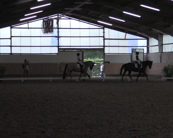 Reitturnier Datteln 2020