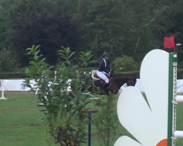 FEI Reitturnier Eschweiler (GER) 2020