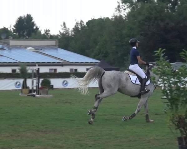 FEI Reitturnier Eschweiler (GER) 2020