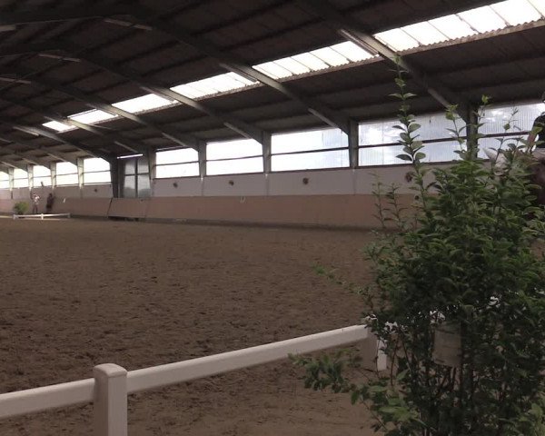 Reitturnier Datteln 2020