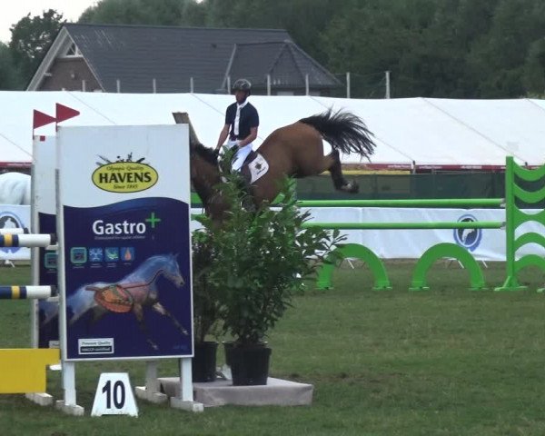 FEI Reitturnier Eschweiler (GER) 2020