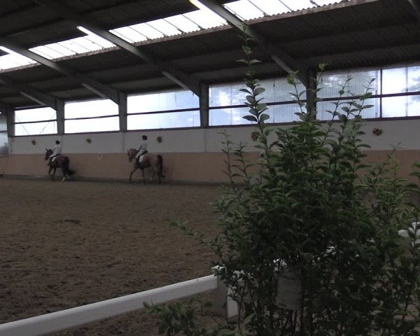 Reitturnier Datteln 2020