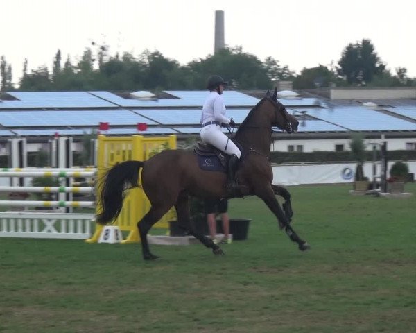 FEI Reitturnier Eschweiler (GER) 2020