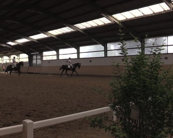 Reitturnier Datteln 2020