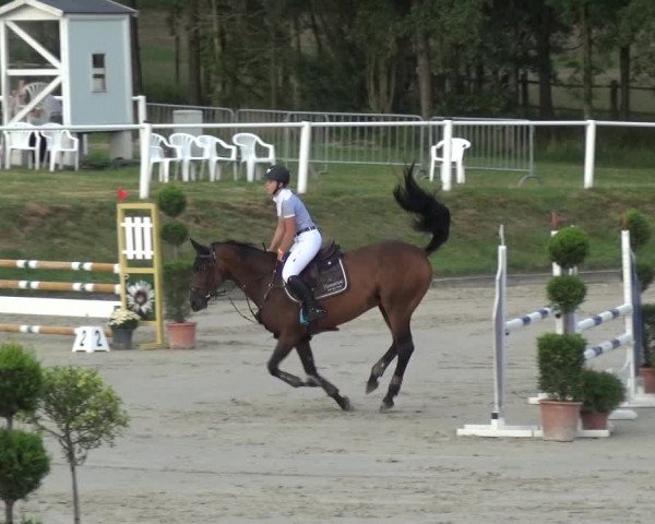 Reitturnier Bergisch Gladbach - Hebborner Hof 2020