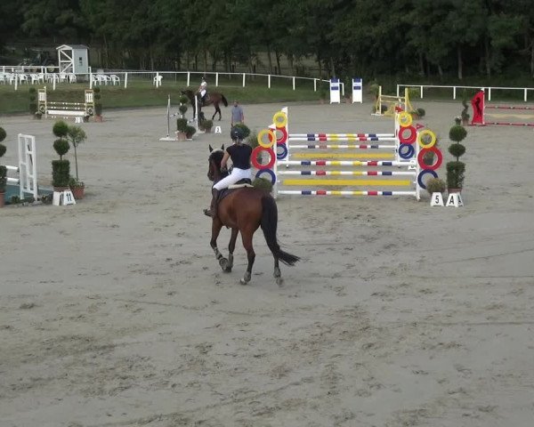 Reitturnier Bergisch Gladbach - Hebborner Hof 2020