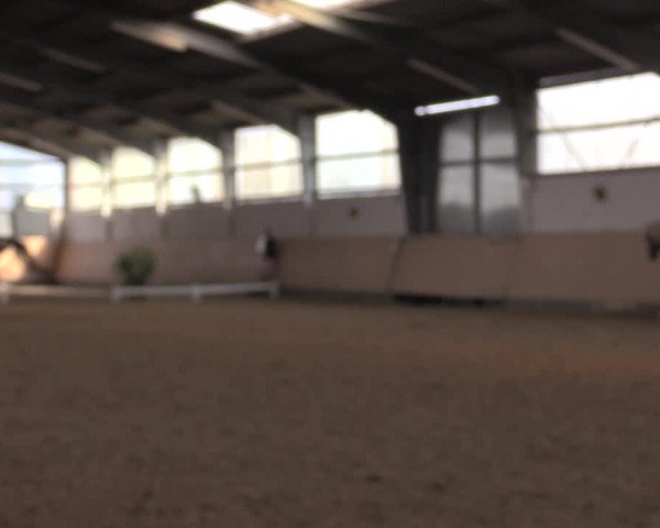 Reitturnier Datteln 2020