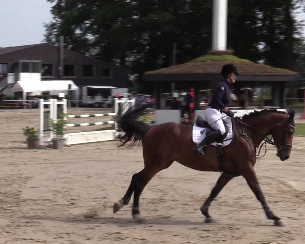 Reitturnier Datteln 2020