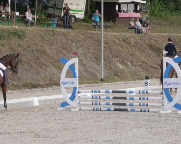 Reitturnier Bübinger Hof 2020