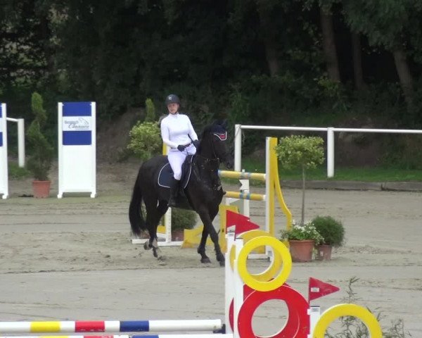Reitturnier Bergisch Gladbach - Hebborner Hof 2020