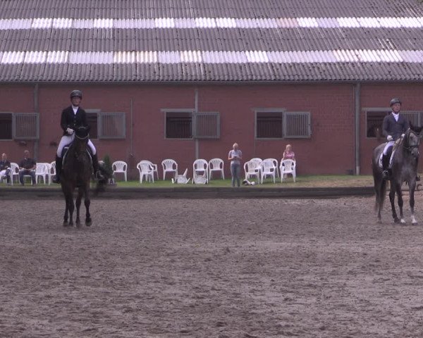 Reitturnier Datteln 2020