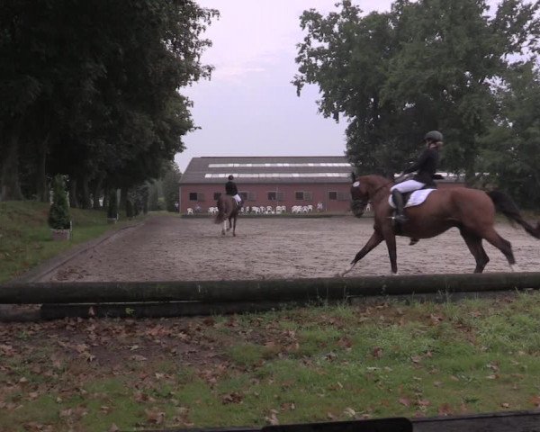 Reitturnier Datteln 2020