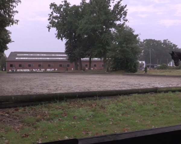 Reitturnier Datteln 2020
