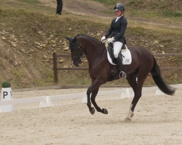 Reitturnier Bübinger Hof 2020