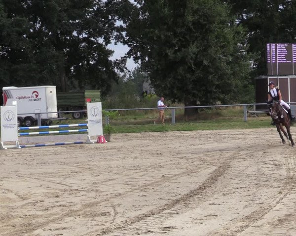 Reitturnier Datteln 2020