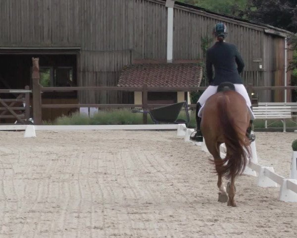 Reitturnier Bübinger Hof 2020