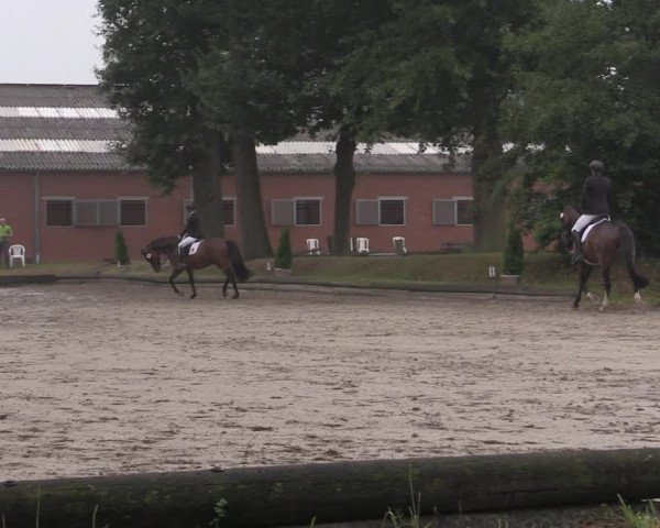 Reitturnier Datteln 2020