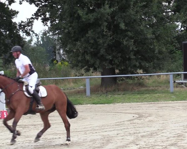 Reitturnier Datteln 2020