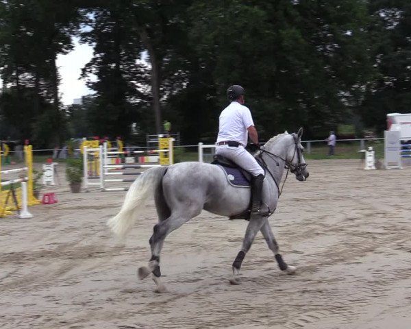 Reitturnier Datteln 2020