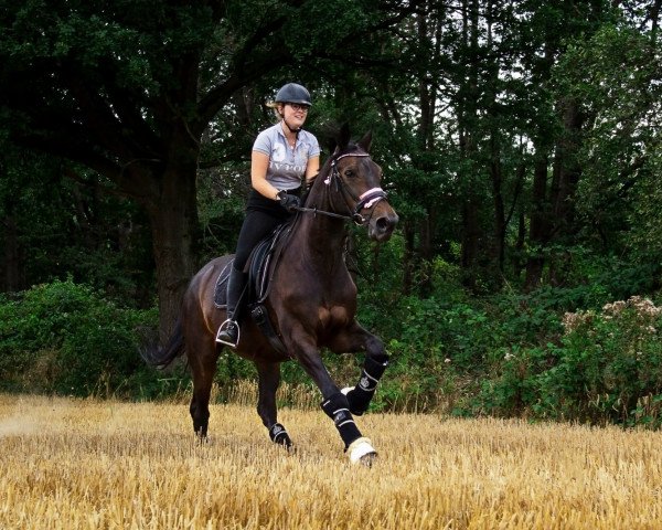 broodmare Flo-H (Rhinelander, 2000, from Florestan I)