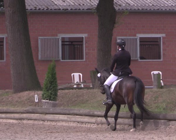 Reitturnier Datteln 2020