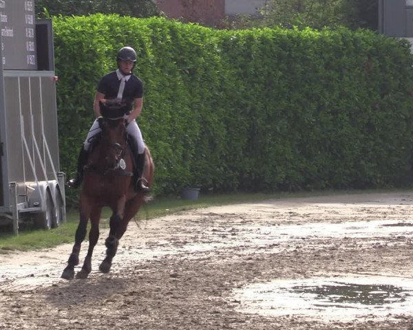 Reitturnier Datteln 2020