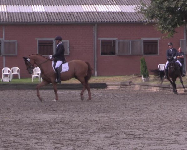 Reitturnier Datteln 2020