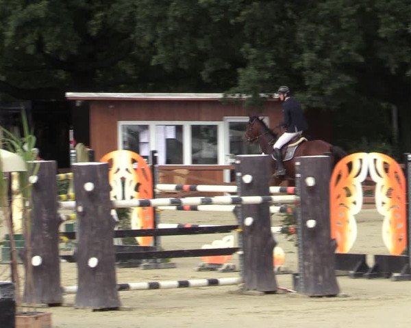 Equus Colonius - Reitanlage Brüse Köln 2021