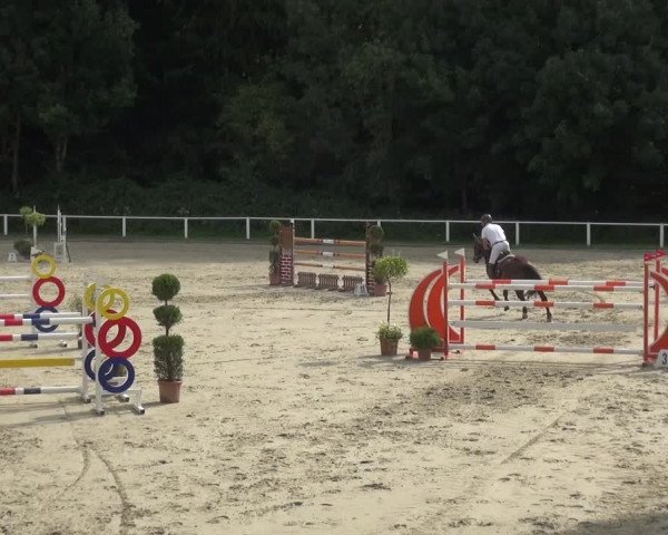 Reitturnier Bergisch Gladbach - Hebborner Hof 2020