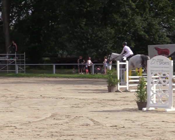 Reitturnier Datteln 2020