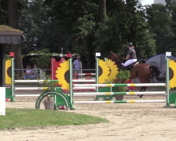 Reitturnier Datteln 2020