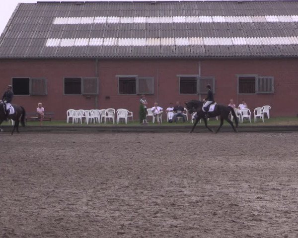Reitturnier Datteln 2020